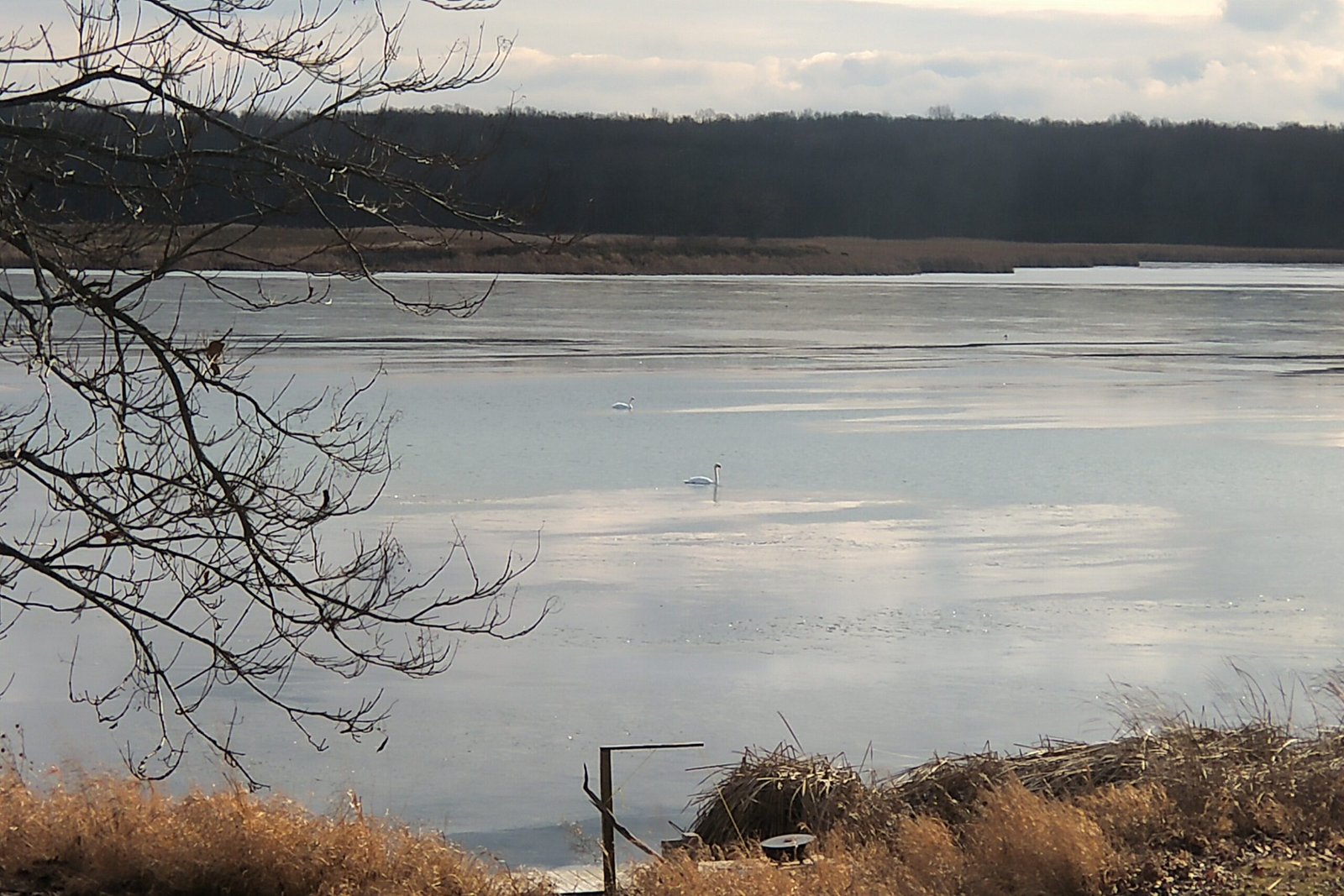 Howe Island: The Getaway